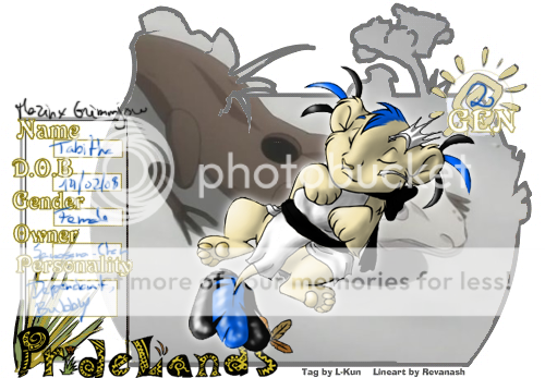 User Image